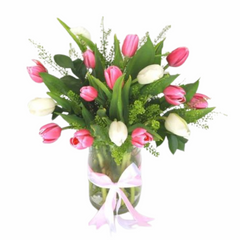 Tulips