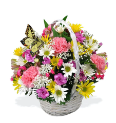 Flower Baskets