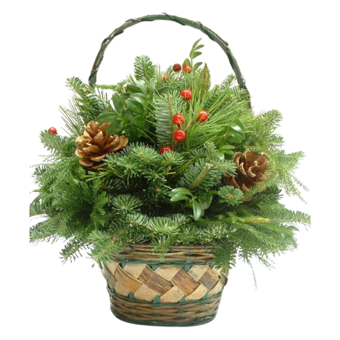 EVERGREEN BASKET