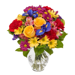 FEATURED PRODUCTS
