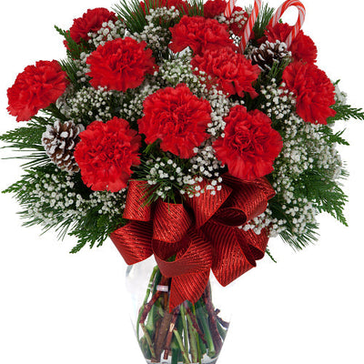 Classic Red Carnations