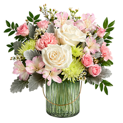 FEATURED PRODUCTS