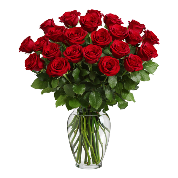 Two Dozen Red Roses